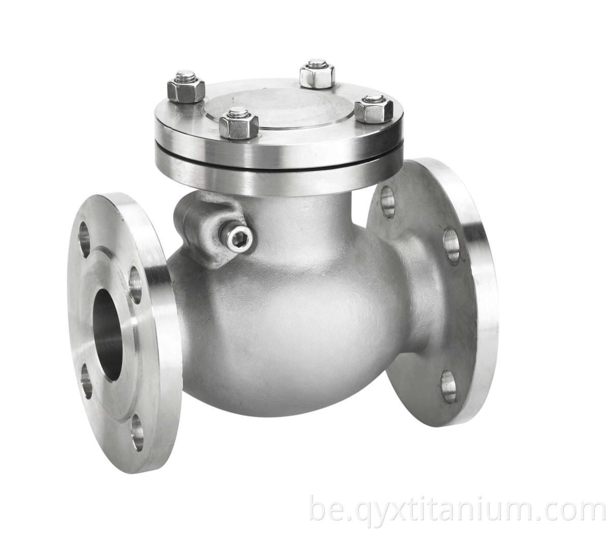 Titanium Swing Check Valve